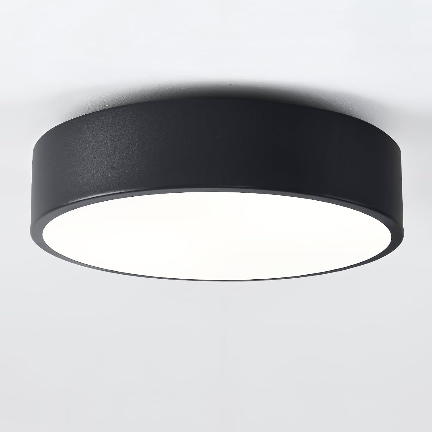 11.8" Black 2-Light Flush Mount Ceiling Light