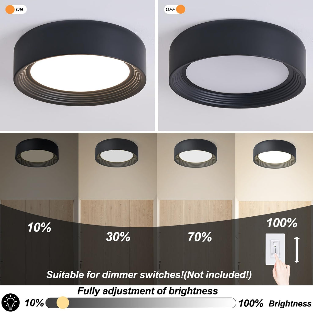 11.8" Matte Black Flush Mount Ceiling Light