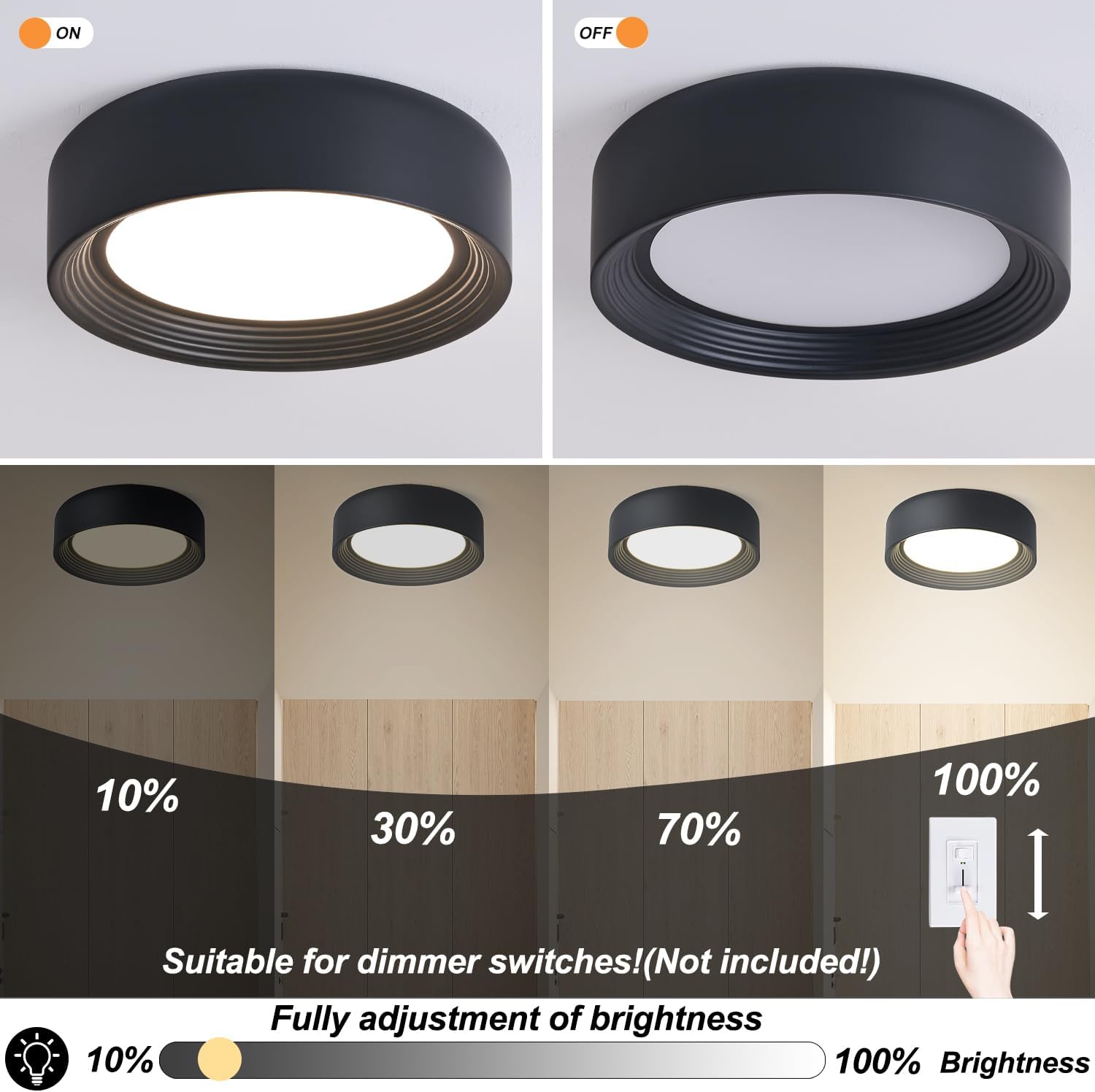 11.8" Matte Black Flush Mount Ceiling Light