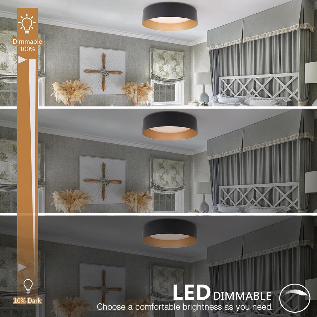 12.5" Matte Black & Gold Flush Mount Ceiling Light